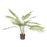 Decoratie plant kwai 70*70*72 cm