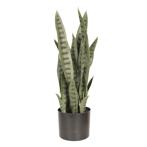 Decoratie plant sanseveria 26*30*60 cm