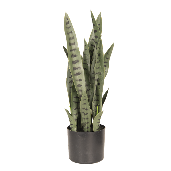 Decoratie plant sanseveria 26*30*60 cm