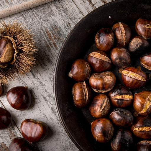 Village Geurkaars Chestnut Spice | kruidnagel nootmuskaat noten sandalwood - small jar - Erotiekvoordeel.nl
